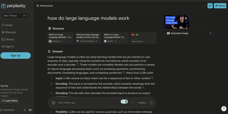 perplexity ai
