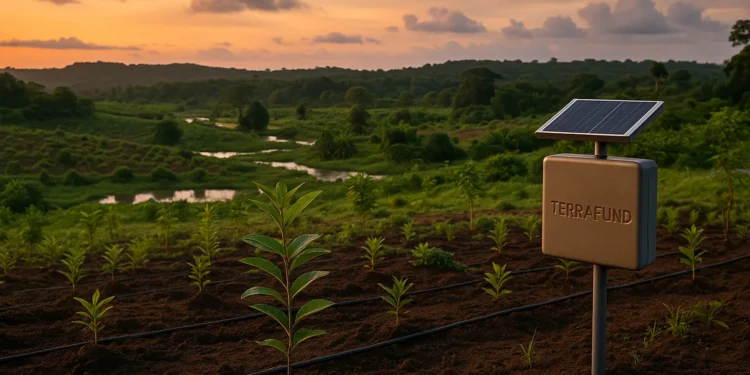 Μπορεί η Τεχνητή Νοημοσύνη να Ενεργοποιήσει τη Χρηματοδότηση για την Αποκατάσταση της Φύσης;